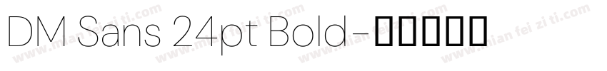 DM Sans 24pt Bold字体转换